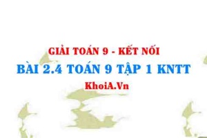 Bài 2.4 SGK Toán 9 tập 1 Kết nối tri thức